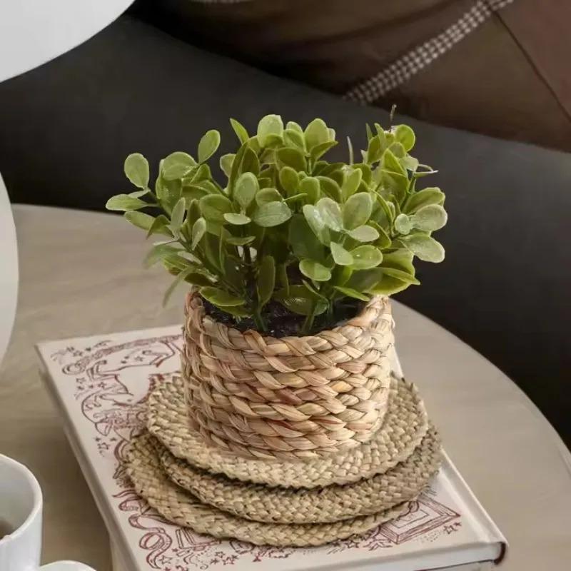 Home Office Layout - 1 pezzo di piante in vaso