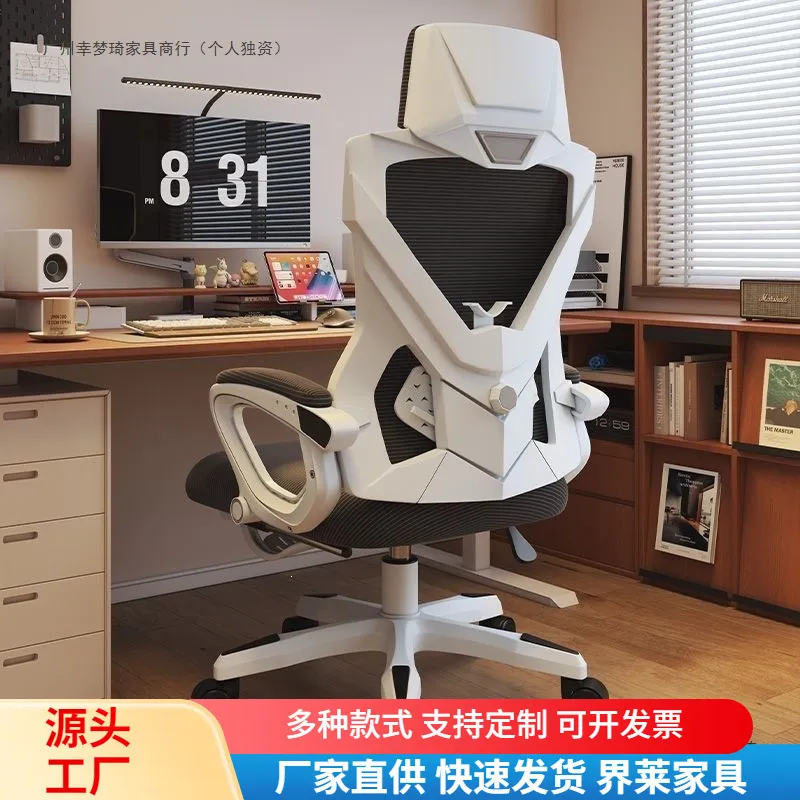 Sedia ergonomica regolabile co - Ergonomic Office Chair recensione e prezzo