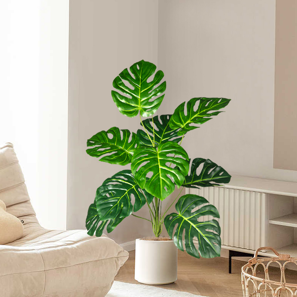 70-100 cm Albero Monstera arti - Home Office Layout recensione e prezzo